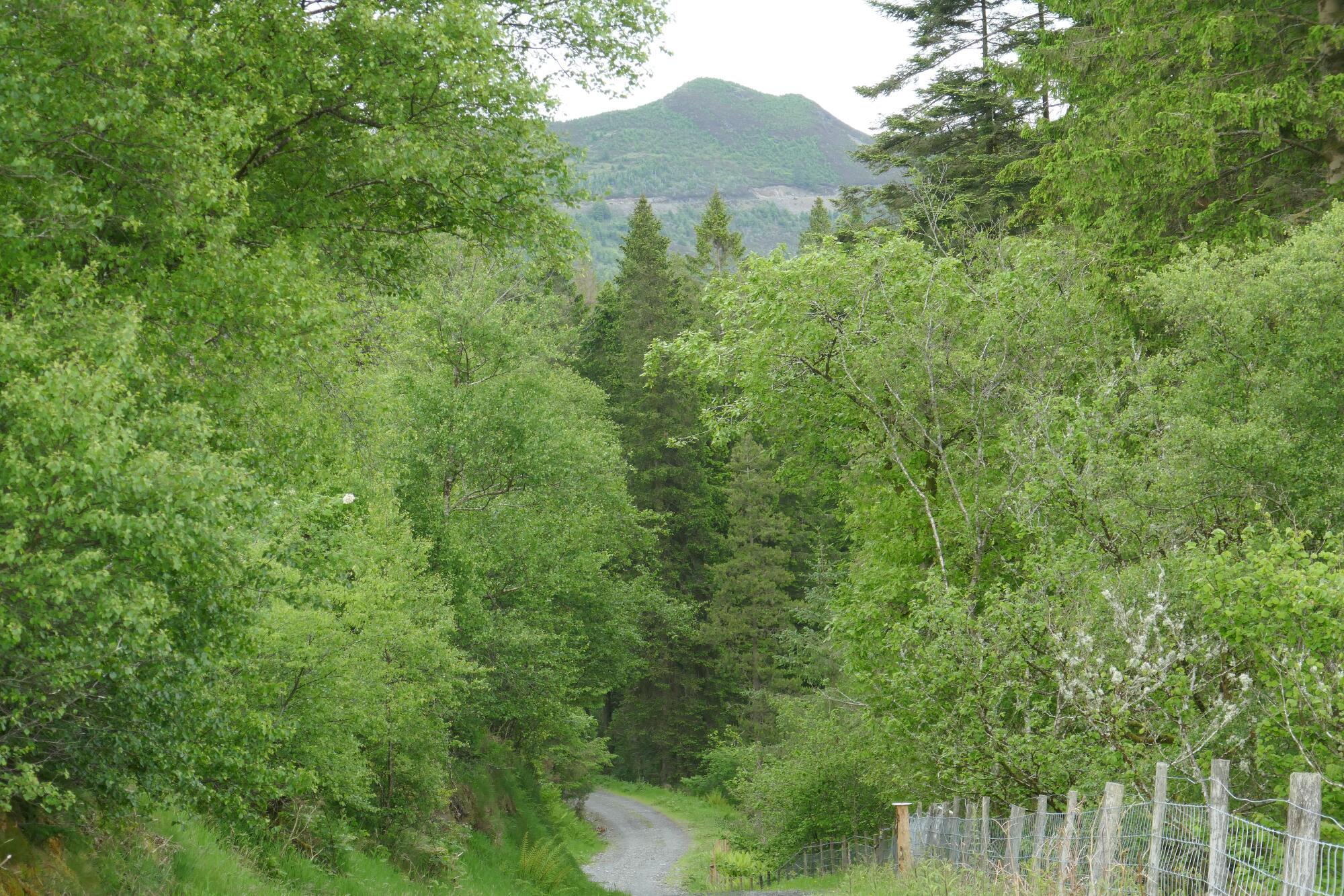 RachelSeabrook.net | Wild Walking | Devils-Bridge; pic39